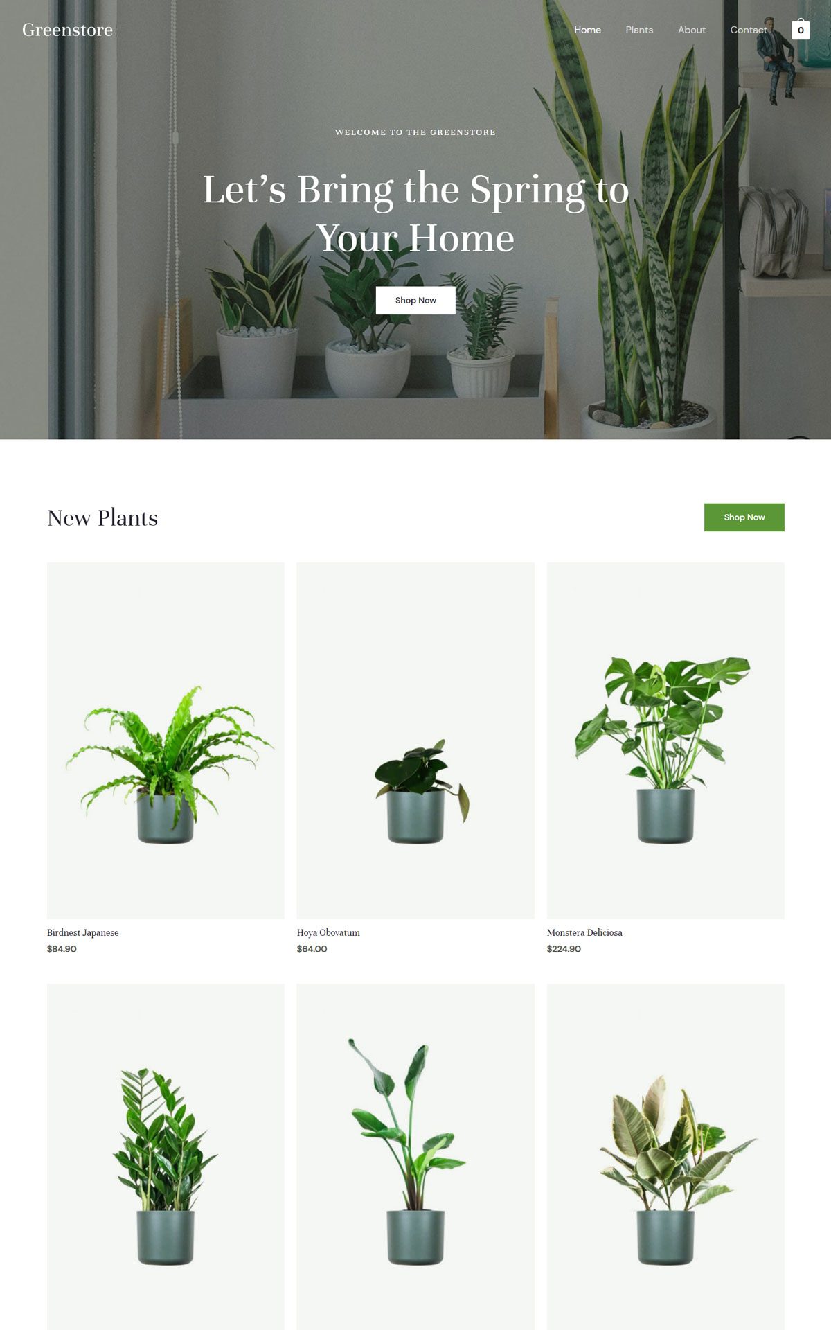 plant shop 02 home page astra template preview (1)