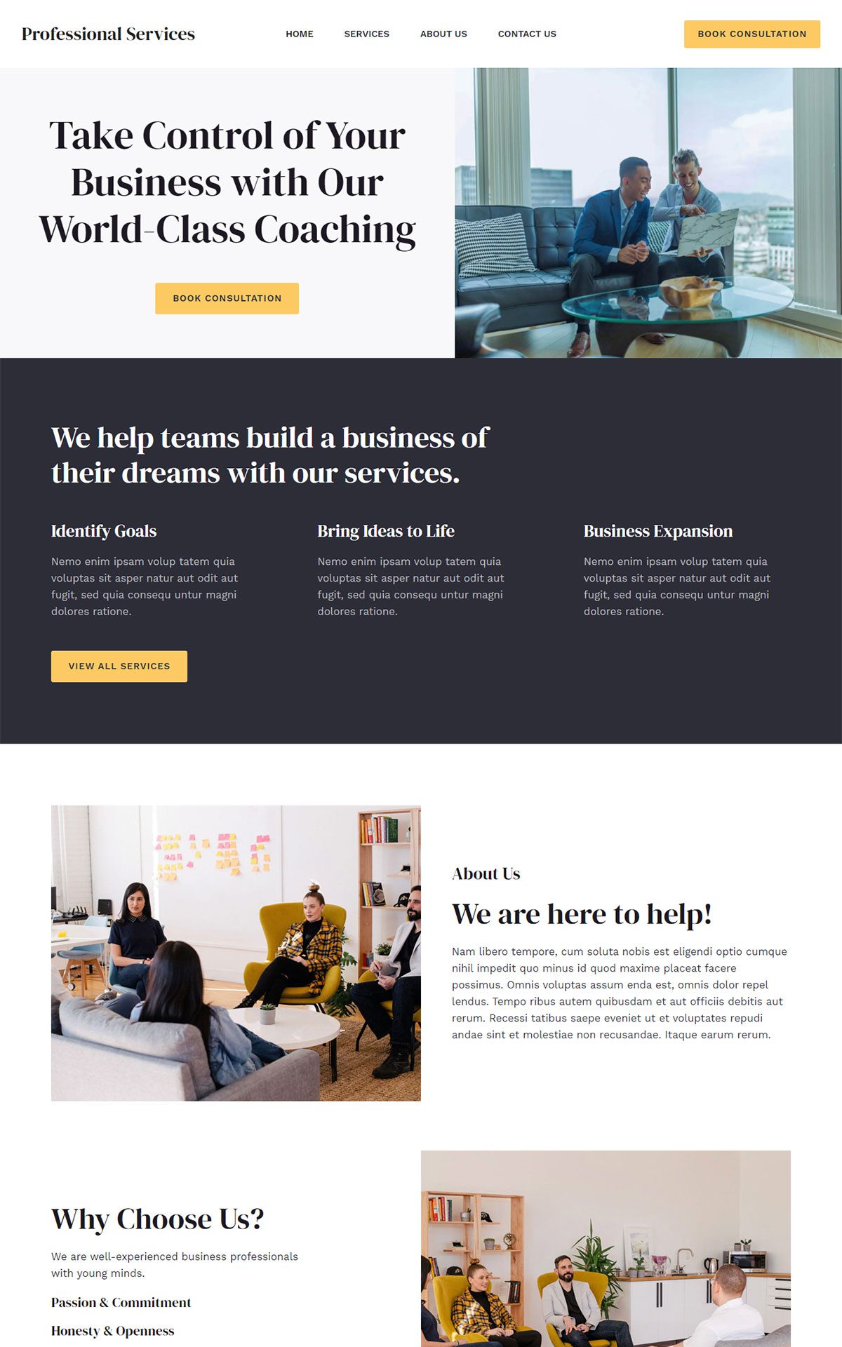 professional services 02 1 1 astra template preview